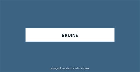 bruine synonyme|bruine en français.